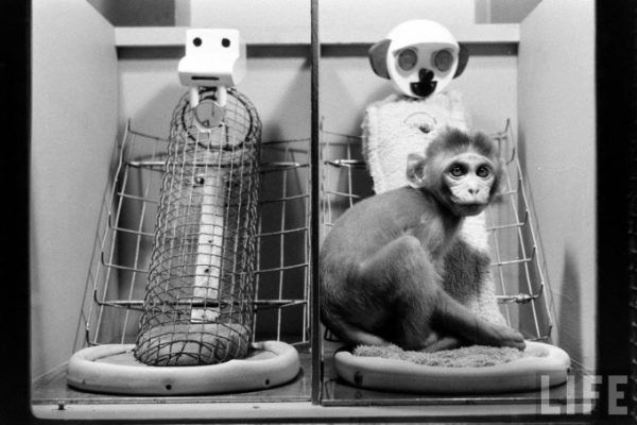 Tarihte yapılan en etkileyici 12 psikolojik deney! 12