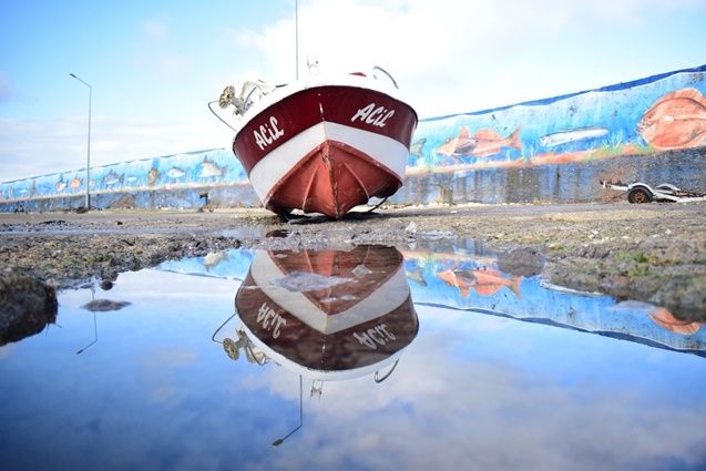 Batı Karadenizli balıkçılar yeni yıldan umutlu. 12