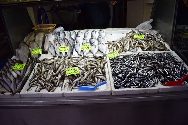 Batı Karadenizli balıkçılar yeni yıldan umutlu. 9