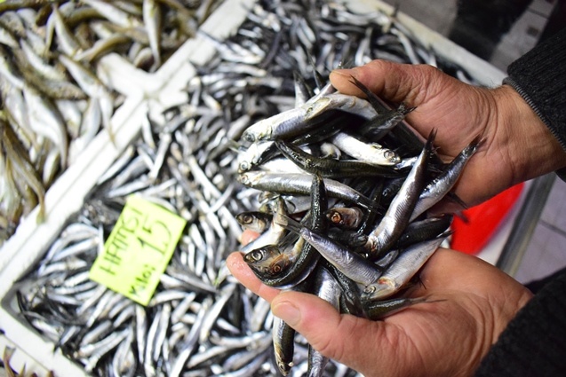 Batı Karadenizli balıkçılar yeni yıldan umutlu. 8