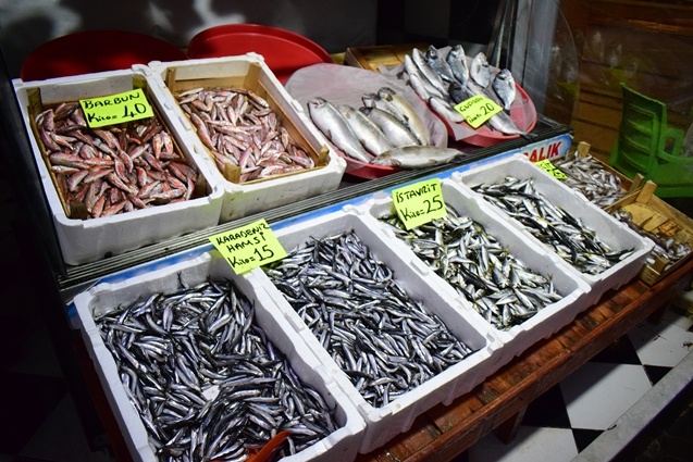 Batı Karadenizli balıkçılar yeni yıldan umutlu. 6