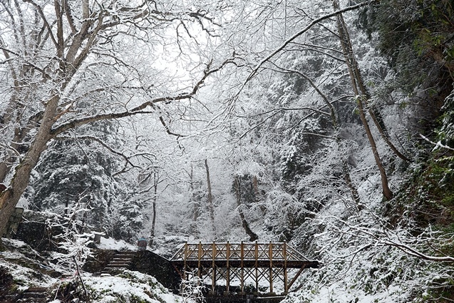Trabzon'un yüksek kesimleri beyaza büründü 5