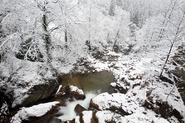 Trabzon'un yüksek kesimleri beyaza büründü 3