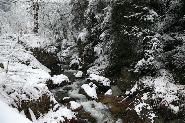 Trabzon'un yüksek kesimleri beyaza büründü 11