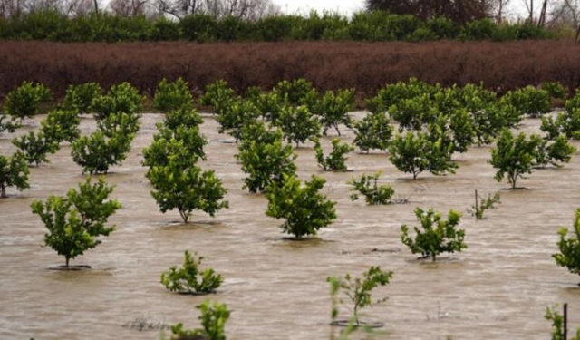 Futbola fırtına arası! İptal ettiler... 6