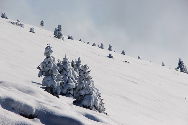 Trabzon yaylalarında kar manzaraları 12