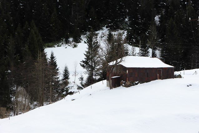 Trabzon yaylalarında kar manzaraları 18