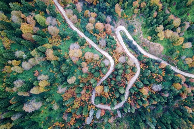 Doğu Karadeniz'in 5 iline 4 Milyon 200 Bin ziyaretçi 6