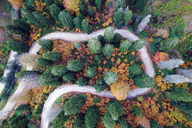 Doğu Karadeniz'in 5 iline 4 Milyon 200 Bin ziyaretçi 7