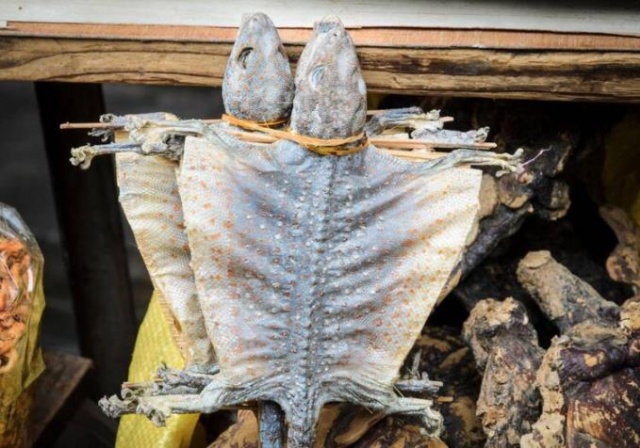 Resmen doğrulandı! İşte koronavirüsün çıkış noktası 24