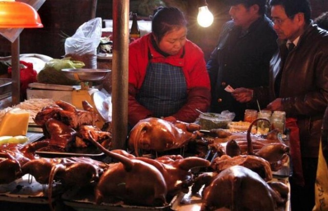 Resmen doğrulandı! İşte koronavirüsün çıkış noktası 21