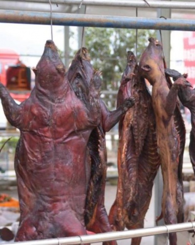 Resmen doğrulandı! İşte koronavirüsün çıkış noktası 22