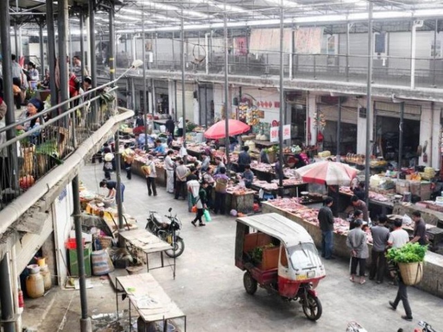 Resmen doğrulandı! İşte koronavirüsün çıkış noktası 28