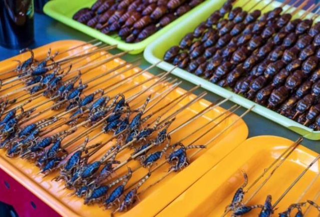 Resmen doğrulandı! İşte koronavirüsün çıkış noktası 14