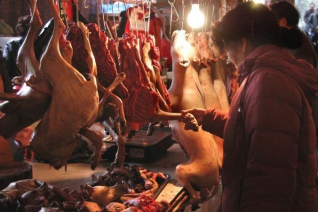 Resmen doğrulandı! İşte koronavirüsün çıkış noktası 15