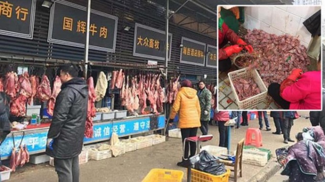 Resmen doğrulandı! İşte koronavirüsün çıkış noktası 6