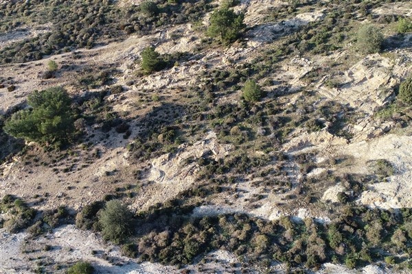 İşte Türkiye’nin ilk kadın Jandarma Komando Astsubayları 11