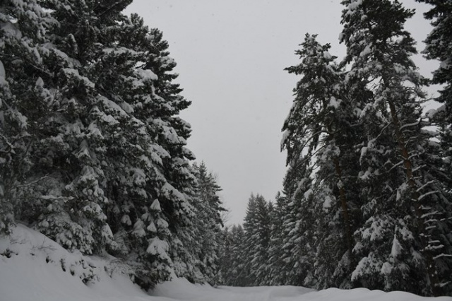 Kafkasör Yaylası'nın kış güzelliği 6