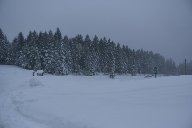 Kafkasör Yaylası'nın kış güzelliği 2