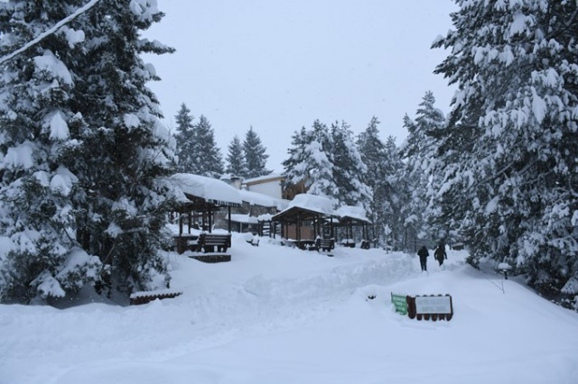 Kafkasör Yaylası'nın kış güzelliği 5