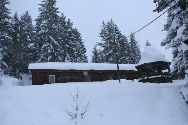 Kafkasör Yaylası'nın kış güzelliği 7