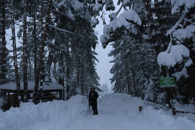 Kafkasör Yaylası'nın kış güzelliği 8