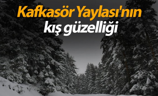 Kafkasör Yaylası'nın kış güzelliği 1
