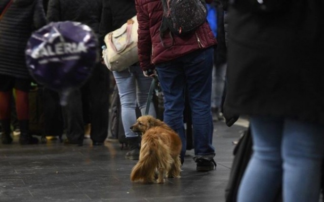 Kuzeybatı Avrupa'yı fırtına vurdu! 4