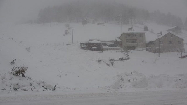 Zigana'daki çığdan gün ağırınca ilk görüntüler - İşte son durum 9