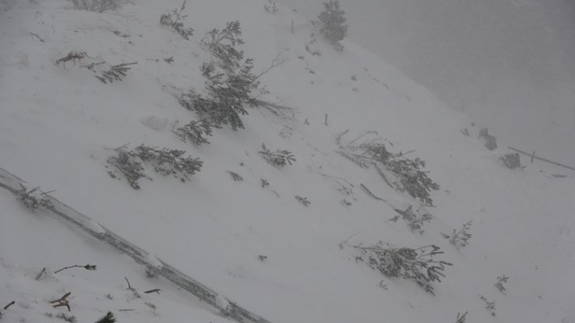Zigana'daki çığdan gün ağırınca ilk görüntüler - İşte son durum 5