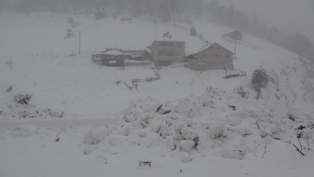 Zigana'daki çığdan gün ağırınca ilk görüntüler - İşte son durum 6