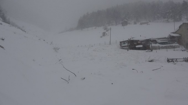 Zigana'daki çığdan gün ağırınca ilk görüntüler - İşte son durum 3