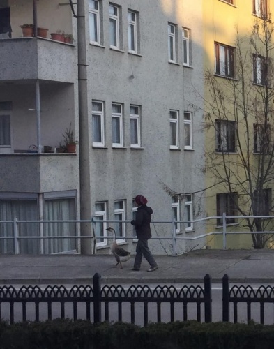 Anahtar Deliği 18.02.2020 6