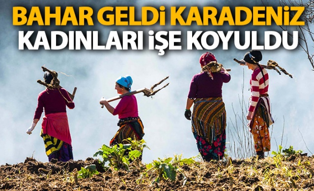 Karadeniz kadınları işe koyuldu 1