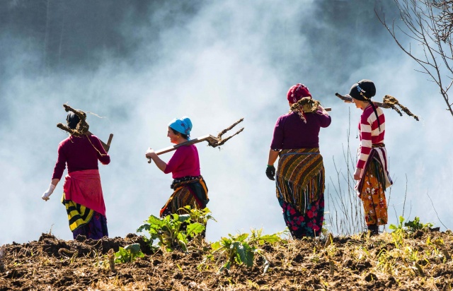 Karadeniz kadınları işe koyuldu 5