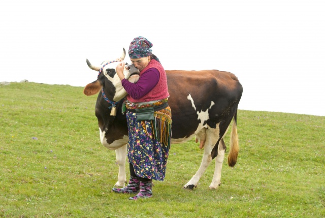 Karadeniz kadınları işe koyuldu 13