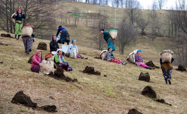Karadeniz kadınları işe koyuldu 11