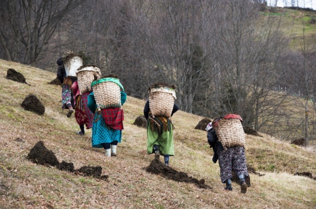 Karadeniz kadınları işe koyuldu 6