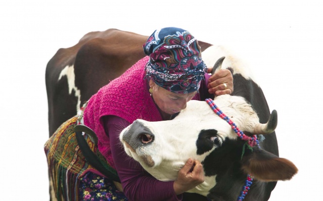 Karadeniz kadınları işe koyuldu 2