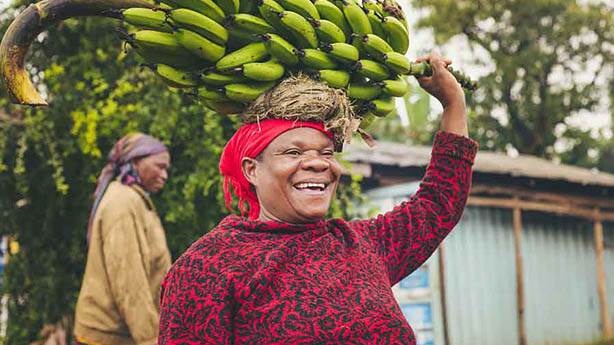 Muz örümceği insanlar için ne kadar ölümcül? 3