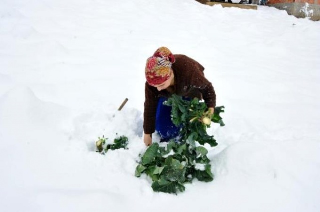 Trabzonlu'nun koronavirüs önlemi köy! 1