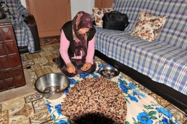 Trabzonlu'nun koronavirüs önlemi köy! 3