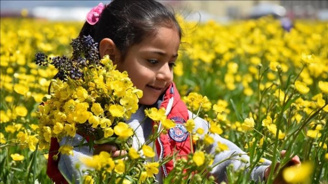 Meteoroloji'den iyi haber! Yurt genelinde sıcaklıklar 2-5 derece artıyor 3