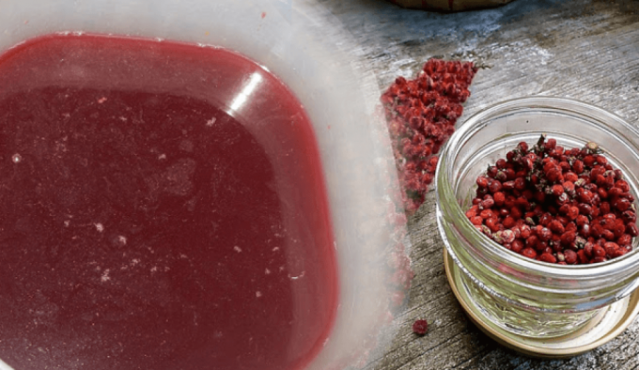 Sumak koronavirüsüne iyi gelir mi? 12