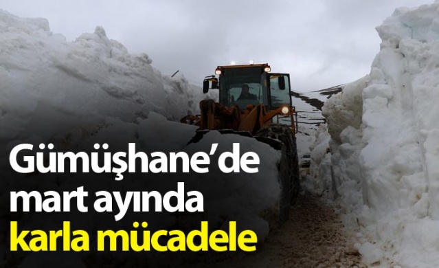Gümüşhane'de mart ayında karla mücadele 1