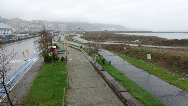 Trabzon'da sahil koyunlara kaldı 4