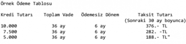 3 kamu bankasından 6 ay ödemesiz kredi paketi 9