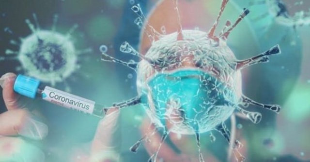 Dünya Sağlık Örgütü'nün Türk yetkilisinden Türkiye açıklaması : Beni endişelendiriyor 8