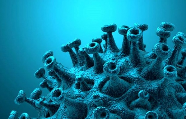 Koronavirüsün bir etkisi daha ortaya çıktı! 4