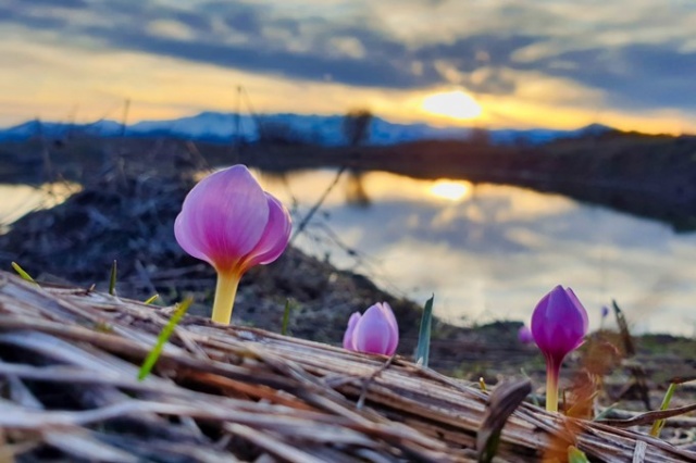 Bahar geldi görsel şölen başladı 3